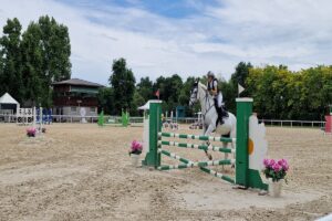 Cavaliere donna salta un ostacolo